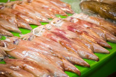  Balık pazarından taze mürekkep balığı.