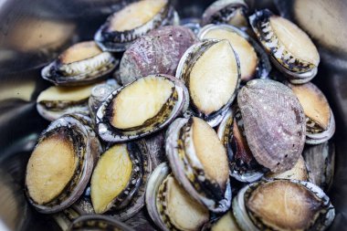 Taze küçük abalone 'lara yakın çekim