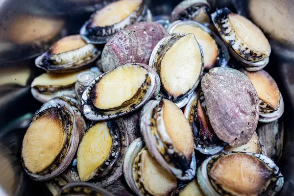 Taze küçük abalone 'lara yakın çekim