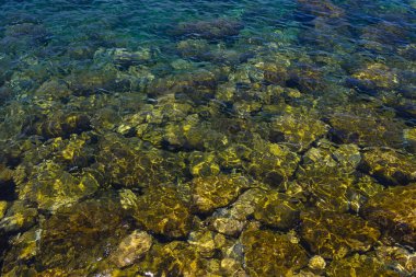 Tayvan kıyı şeridinin berrak suları