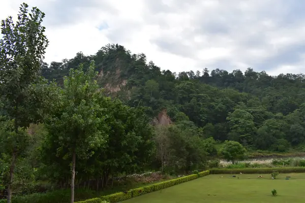 Yaz mevsiminde dağ manzarası