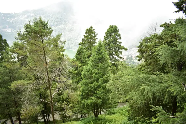 Dağların güzel manzarası