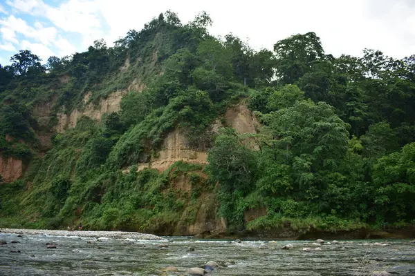 Ormanda güzel bir şelale