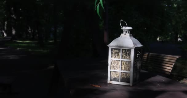 Διακοσμητικό Γοτθικό Μαύρο Μεταλλικό Φωτιστικό Στον Κήπο Παγκάκι Πεύκο Τραπέζι — Αρχείο Βίντεο