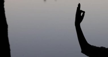 Kadın elini kaldırıyor, yoga pozisyonu ve meditasyon konsepti. Mudra. Göl. Doğa ilhamı. Lotus pozu. Yüksek kalite 4k görüntü