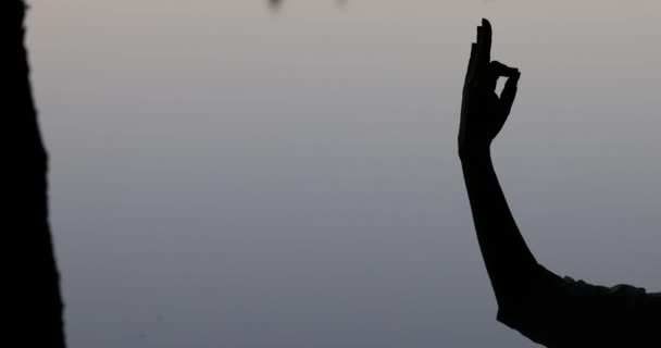 Woman Rising Hands Yoga Pose Meditation Concept Mudra Lake Nature — Stock Video