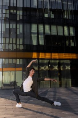 Yaz aktivitesi ve enerji. Bale dansçısı. Yakışıklı adam antrenman ve esneme hareketleri. Fitness koçu ve sağlık. Spor ve yoga. Erkek için pilates. Doğa geçmişi. Delikanlı. Bale dansçısı. Yeşil çimen