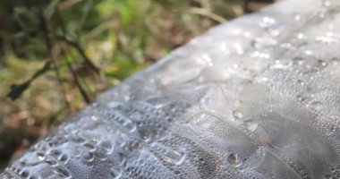 Abandoned garbage plastic and glass waste in nature among the grass. Environmental damage caused by human garbage pollution. problems Climate change, ecology, atmoshere gas, ozone layer blocks uv rays