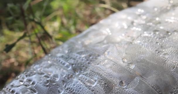Заброшенный Мусорный Пластик Стеклянные Отходы Природе Среди Травы Ущерб Окружающей — стоковое видео