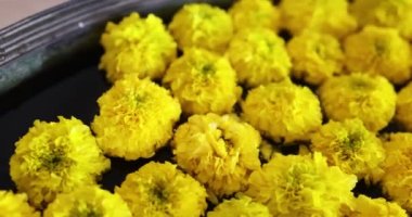 Beautiful flowers in field at sunset ,marigold Calendula flower. macro shot. Yellow beutiful flower. Nature concept. Calendula officinalis. Spring time diwali stock footage color inspiration womens