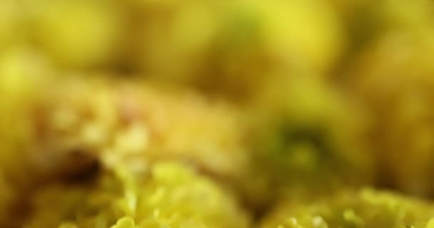 Beautiful Flowers Field Sunset Marigold Calendula Flower Macro Shot Yellow — 비디오