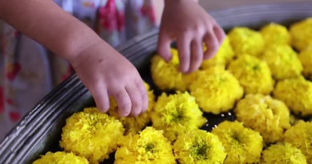 Warts Hands Little Girl Papilloma Pimple Verruca Marigold Calendula Flower — Wideo stockowe