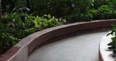 Güneşli bir akşamda, yeşil çimenleri ve yemyeşil yaprakları olan ağaçların arasında, şehir parkındaki taş patika. Dinlen ve temiz havada yürü. Peyzaj tasarımı. Yüksek kalite 4k görüntü