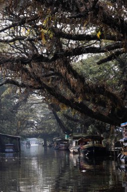 avuç içi alappuzha, kerala, Hindistan yakın önemsizden ev Tekne