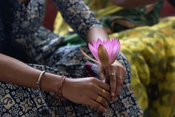 Mãos Mulher Segurando Bela Flor Lótus Foto Alta Qualidade — Fotografia de Stock