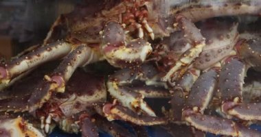 Yengeçler, Singapur 'un ikonik yemekleri pişiren bir lokanta akvaryumunda satılıyor. Güneydoğu Asya' nın leziz deniz ürünleri. Yüksek kalite 4k görüntü