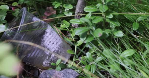 Plastikowy Kubek Wiosennym Lesie Plastikowe Śmieci Naturze Wiosenny Las Śmieciami — Wideo stockowe