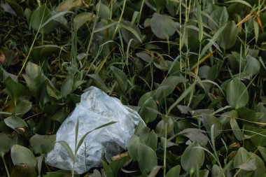 Çöpü, geri dönüşümü, plastiği yeniden kullan. Yiyecek plastik ambalajı, yeşil çimen arka planındaki çöp. Plastik geri dönüşümü. Çevre kirliliği, ekoloji kavramı. Yüksek kalite fotoğraf