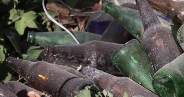 Stare Zakurzone Kolorowe Butelki Ziemi Wysokiej Jakości Zdjęcie — Wideo stockowe