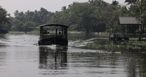 Alleppey India Januari 2023 Terwijl Traditionele Woonboot Kettu Valam Observeren — Stockvideo