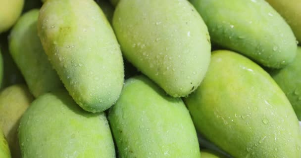 新鮮なマンゴー マンゴーの生産をチェック男 新鮮なマンゴーの生産 夏に新しいマンゴーの生産 男はマンゴーをチェック 手でマンゴー 食品や飲み物 飲み物 緑のマンゴー — ストック動画