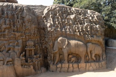 Hindistan, Mahabalipuram 22 Ocak 2023: Ganj 'ın Çöküşü: Mahabalipuram' daki iki taş üzerine oyulmuş dev bir açık hava kaya levreği. İçinde hayvan heykelleri, Tanrı, insanlar ve yarısı var.