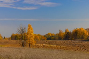Sonbahar kırsal manzarası eski tarz sonbahar manzarası toprak yolu ve bulutlu gökyüzü. - Evet. Yüksek kalite fotoğraf