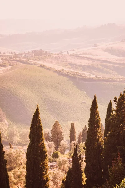 Künstlerische Toskanische Landschaft Mit Zypressen Hochwertiges Foto Stockbild