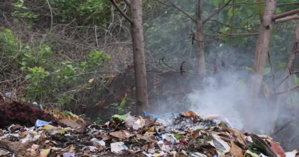 Ατμοσφαιρική Ρύπανση Από Παράνομη Καύση Σωρό Πλαστικά Σκουπίδια Χωματερή Υψηλής — Αρχείο Βίντεο