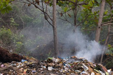 Yasa dışı yakılan plastik çöp saçılmasıyla hava kirliliği. Yüksek kalite 4k görüntü
