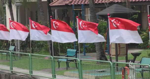 Несколько Сингапурских Флагов Развеваются Ветру Высококачественные Кадры — стоковое видео