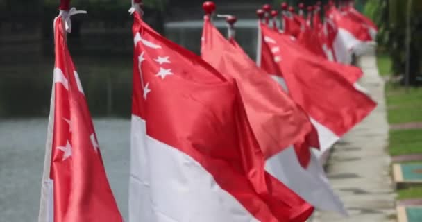 Kilka Singapurskich Flag Trzepocze Wietrze Wysokiej Jakości Materiał — Wideo stockowe