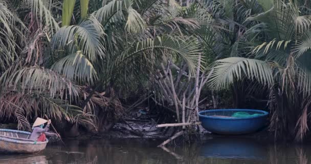 Donna Che Remava Una Barca Tradizionale Vietnamita Filmati Alta Qualità — Video Stock