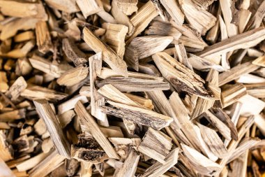 Tik ağacı parçaları Asya 'daki ayinlerde kötü ruhları temizlemek için kullanılır. Yüksek kalite fotoğraf