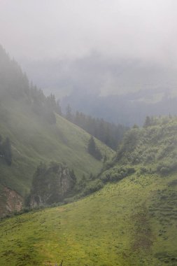 Dağlarda gizemli bir sabah. Puslu alp manzarası. Yüksek kalite fotoğraf