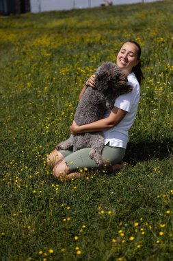 Yeşil sahada köpek Lagotto Romagnolo 'ya sarılan kadın. Yüksek kalite fotoğraf