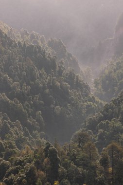 Yeşil orman dağının yüksek açılı görüntüsü yağmurdan sonra yoğun beyaz bir yağmur sisi vardı. Yağmur ormanı canlı görünüyor. Yüksek kalite fotoğraf