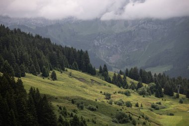 İsviçre kayak merkezinin yaz manzarası. Yüksek kalite fotoğraf