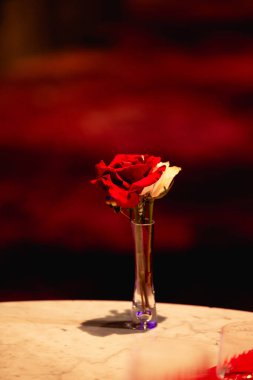 Masadaki vazoda kırmızı gül. Yüksek kalite fotoğraf