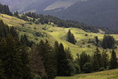 İsviçre kayak merkezinin yaz manzarası. Yüksek kalite fotoğraf