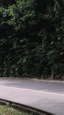 Yeşillik dolu boş bir tropikal yol. Yüksek kalite 4k görüntü