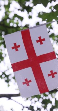 Rüzgarda sallanan gerçekçi Georgia bayrağı. Arka planı bulutlu. Mükemmel döngü. Yüksek kalite 4k görüntü