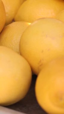 Sokak gıda pazarının narenciye arka planında taze limonlar. Yüksek kalite 4k görüntü