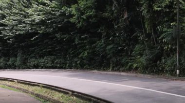 Yeşillik dolu boş bir tropikal yol. Yüksek kalite 4k görüntü