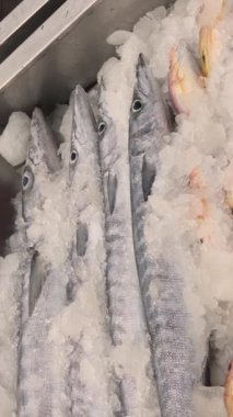 Pazardaki okyanus suyunun üzerindeki buzda bir sürü taze balık var Pomfret uskumrusu Sardalya Balığı Kahini Balık Ançüezli Barakuda Snapper Grouper Trevally. Yüksek kalite 4k görüntü