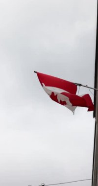 Kanadalı bayrağın gökyüzüne doğru dalgalanan yavaş çekim görüntüsü. Kanada ulusal günü. Yüksek kalite 4k görüntü