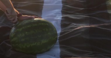  Güneşli bir havada piknikte karpuz kesmek. Yüksek kalite 4k görüntü