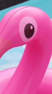 Maldivler 'deki şişme pembe flamingo yüzme halkasının yakın çekimi. Yüksek kaliteli FullHD görüntüler
