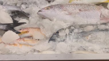 Pazardaki okyanus suyunun üzerindeki buzda bir sürü taze balık var Pomfret uskumrusu Sardalya Balığı Kahini Balık Ançüezli Barakuda Snapper Grouper Trevally. Yüksek kalite 4k görüntü