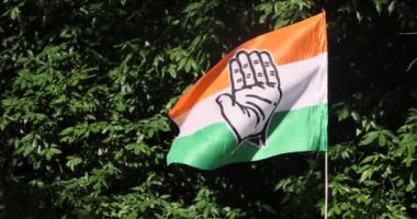  El resmi olan bir Kızılderili bayrağı. Hint seçimleri. Hindistan Cumhuriyeti. Yüksek kalite 4k görüntü